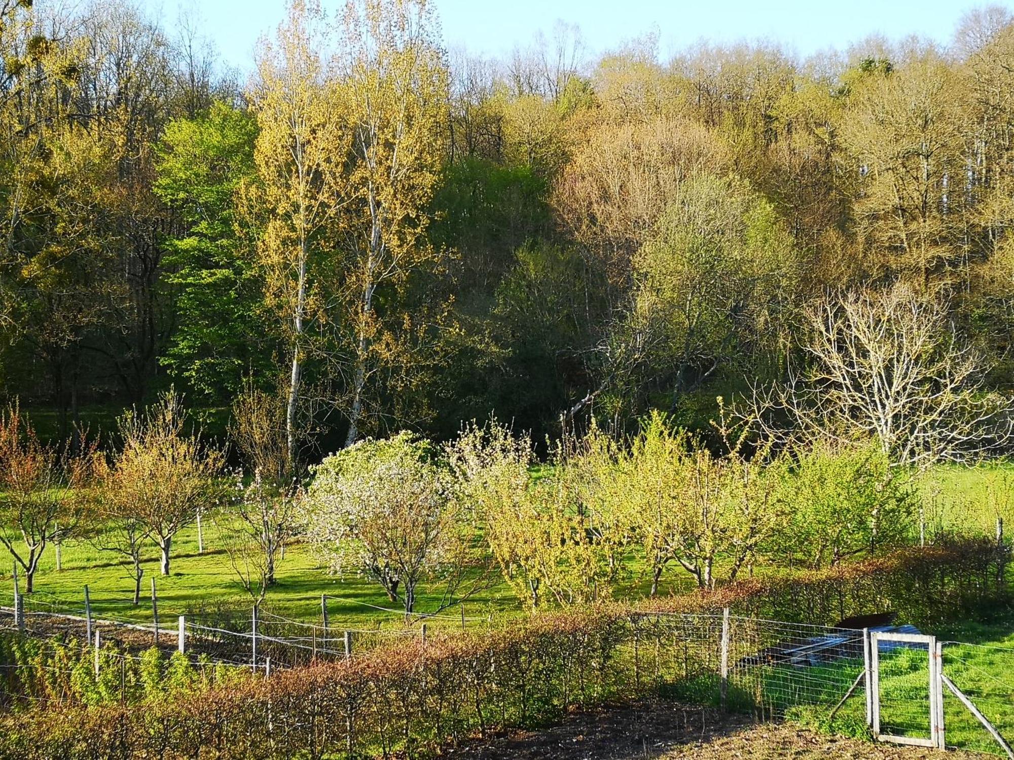 Proche Beauval 60m2 Avec Mezzanine Et Petite Terrasse Ferienhaus Faverolles-sur-Cher